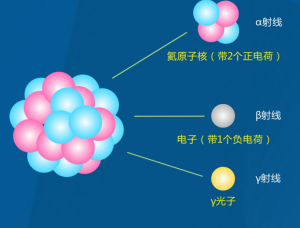 核衰变的产物